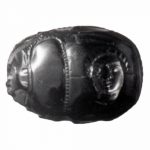 Etruscan carnelian scarab